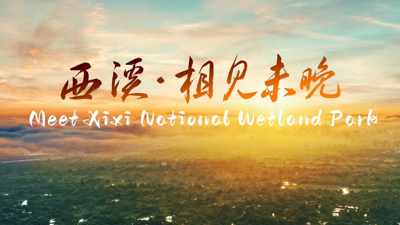 Meet Xixi National Wetland Park
