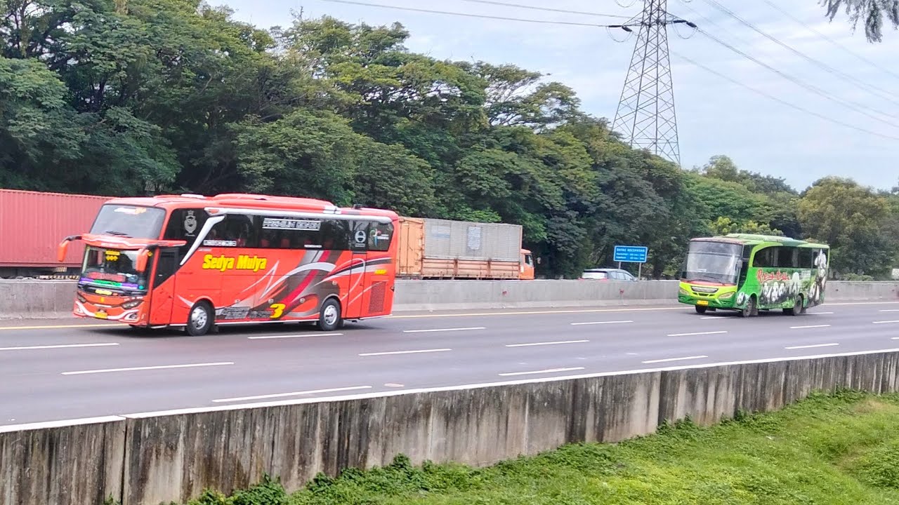 HUNTING BUS ANGKATAN PAGI SABTU PAGI 28 FEBRUARI 2026 💫 💫