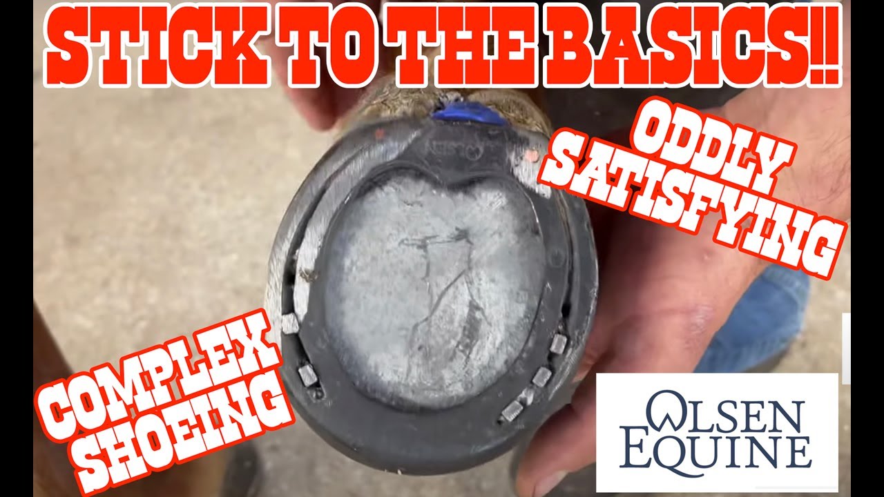 STICK TO THE BASICS!