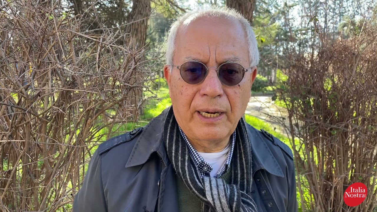 Sfilata carri e attacchi a carrozze Canosa di Puglia  21 Nov 2021