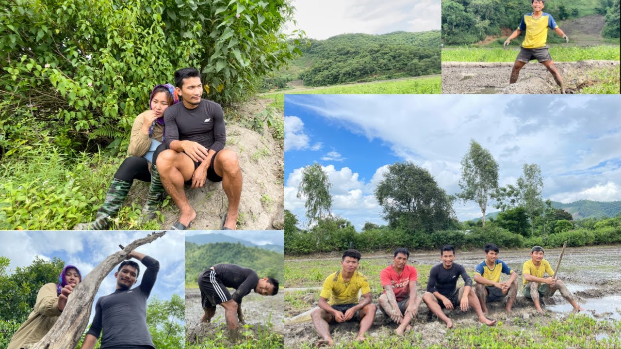 Working in our Paddy Field || Tribal Life || Family || North East India 🇮🇳