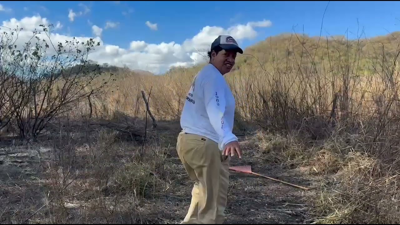 Suviendo Las Mesas Me Encontré Con Una Manada De Pericos Así Voy  Limpiando El Terreno 