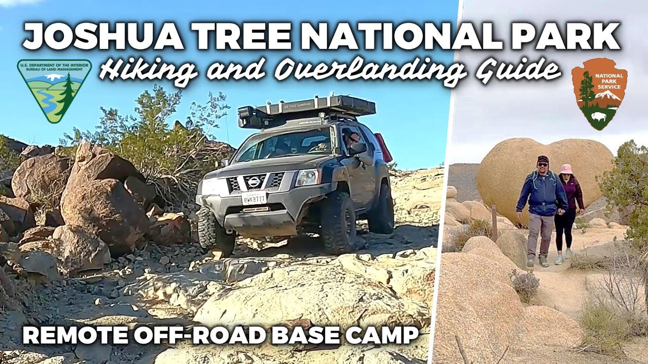 COMPLETE OVERLAND GUIDE FOR JOSHUA TREE NATIONAL PARK (Hikes, Off-road, Camp on BLM land)