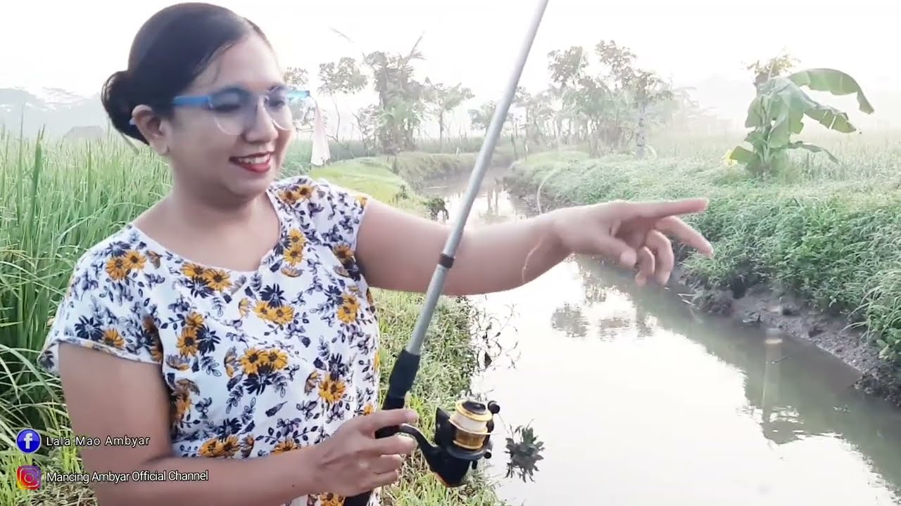 Mancing di sungai kecil sawah kampung pedesaan yang indah di temani embun pagi