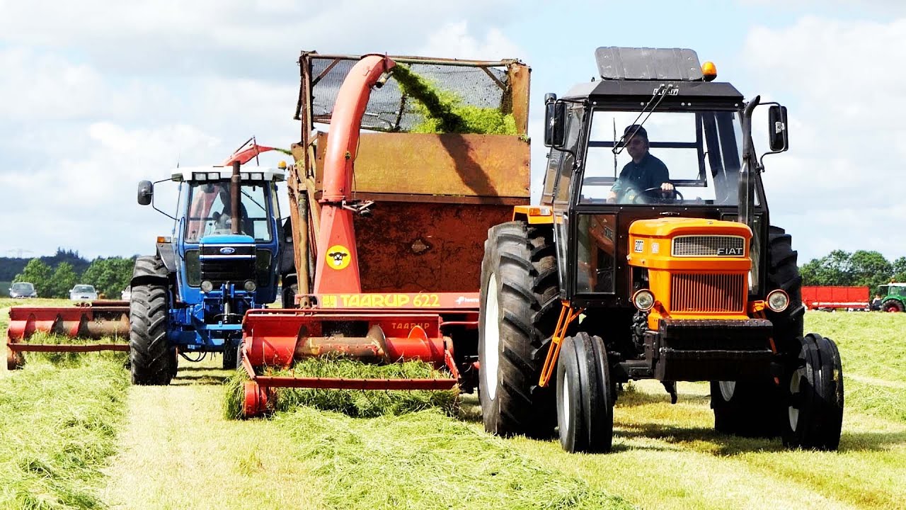 Fiat 1500 in the field chopping grass w/ Taarup 622 Forage Harvester | Danish Agriculture