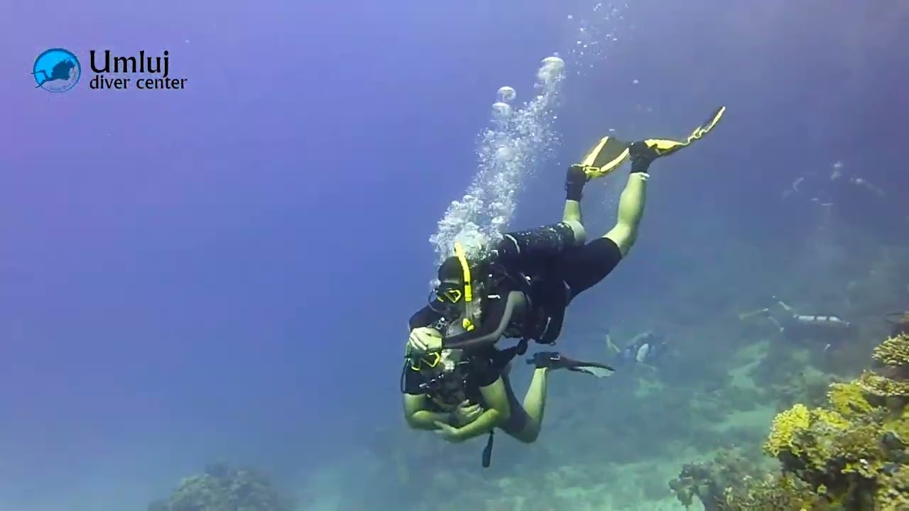friday 25th November 2022 Yanbu Saudia Arabia Scuba diving Trip we dive with turtles 👌