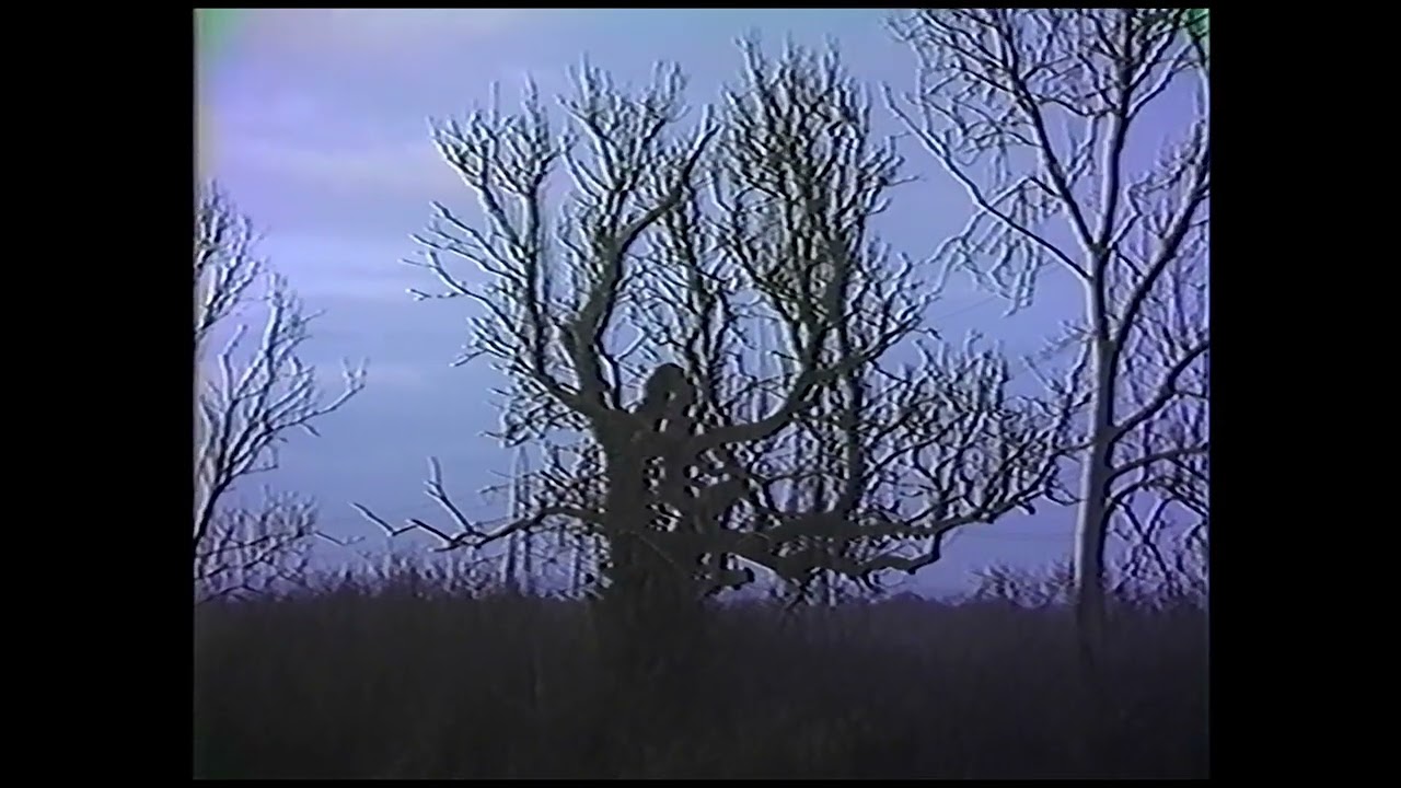 JVC GX-88E Vidicon Tube Camera - Wintery Scenes