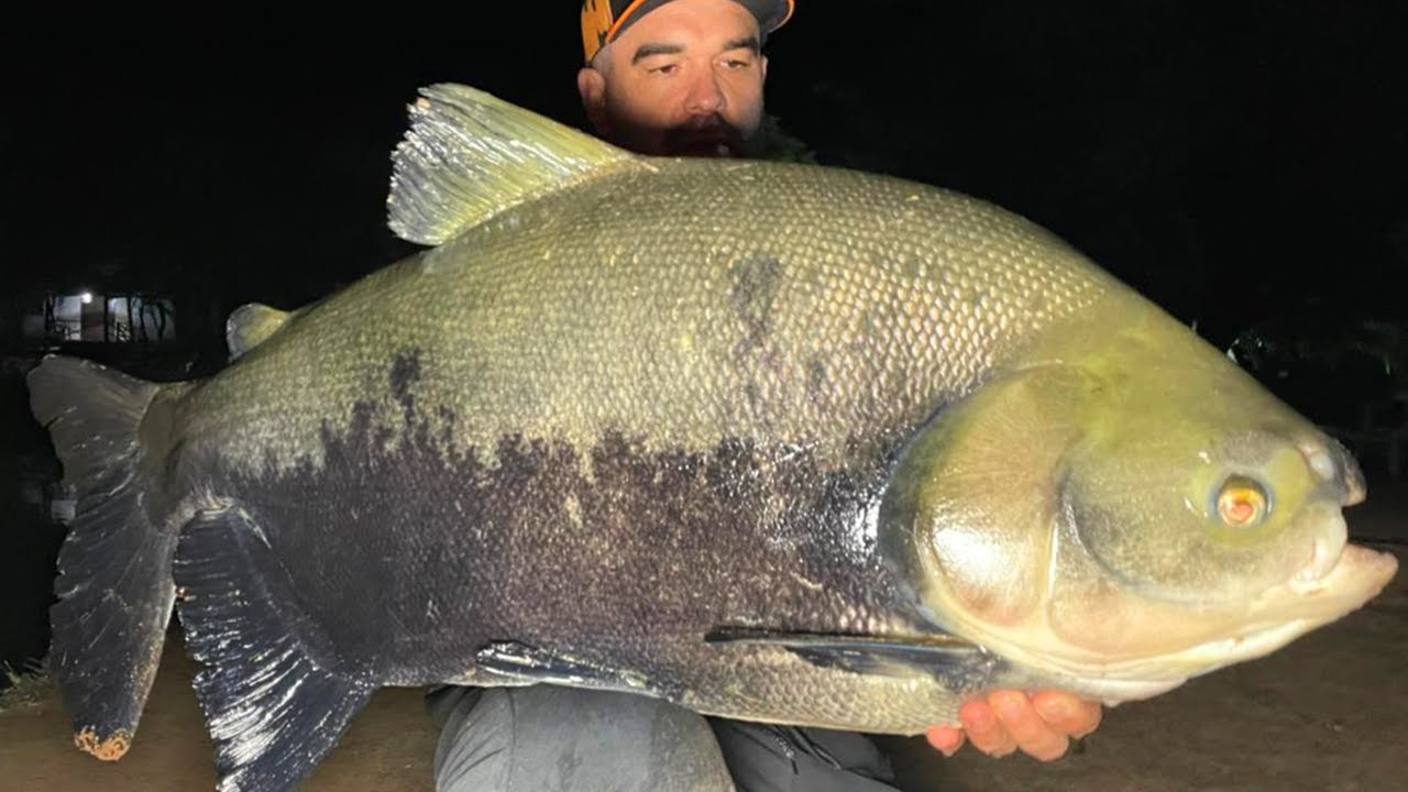 COISA DE LOUCO, FRIO E MUITO PEIXE NO PESQUEIRO STELLA!