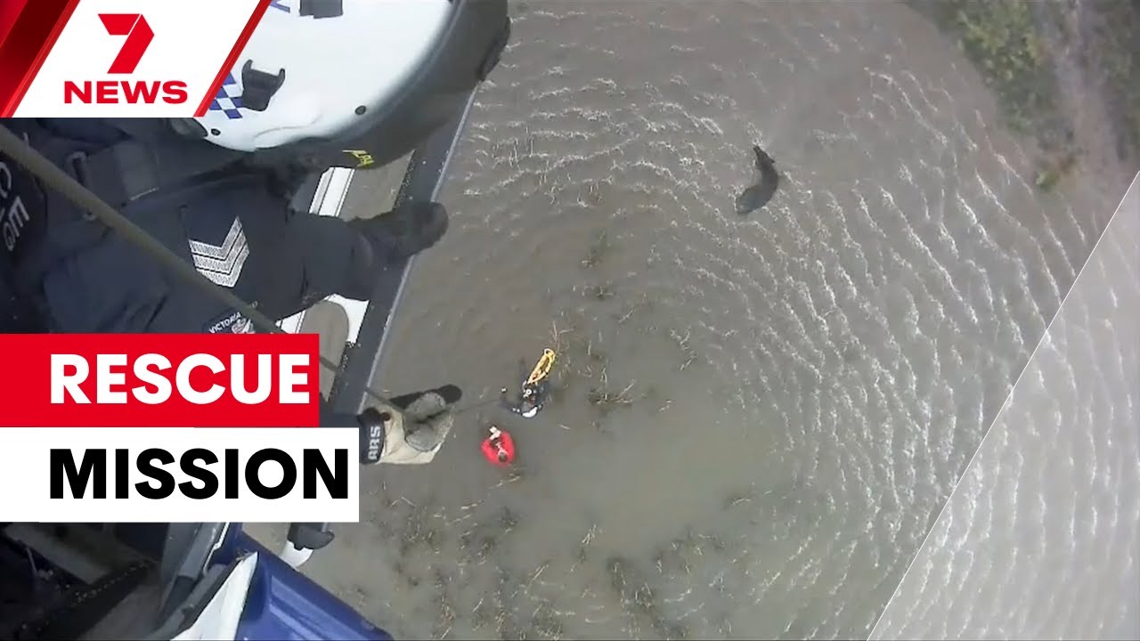 Monster mission to rescue a farmer in a sticky situation | 7NEWS