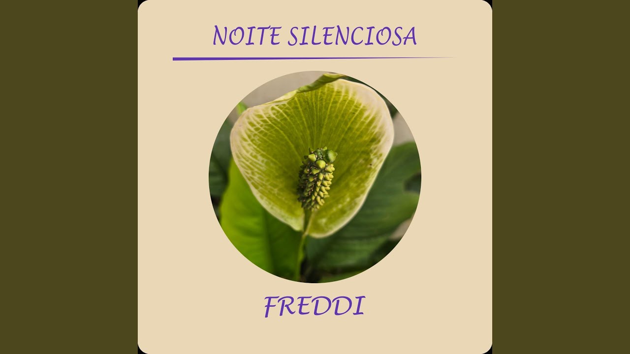 Noite Silenciosa