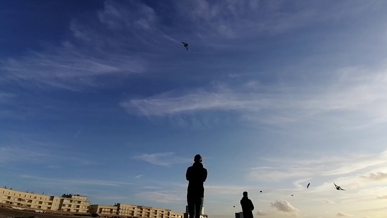 Cerf-volant acrobatique - Adulta Caeli 2020