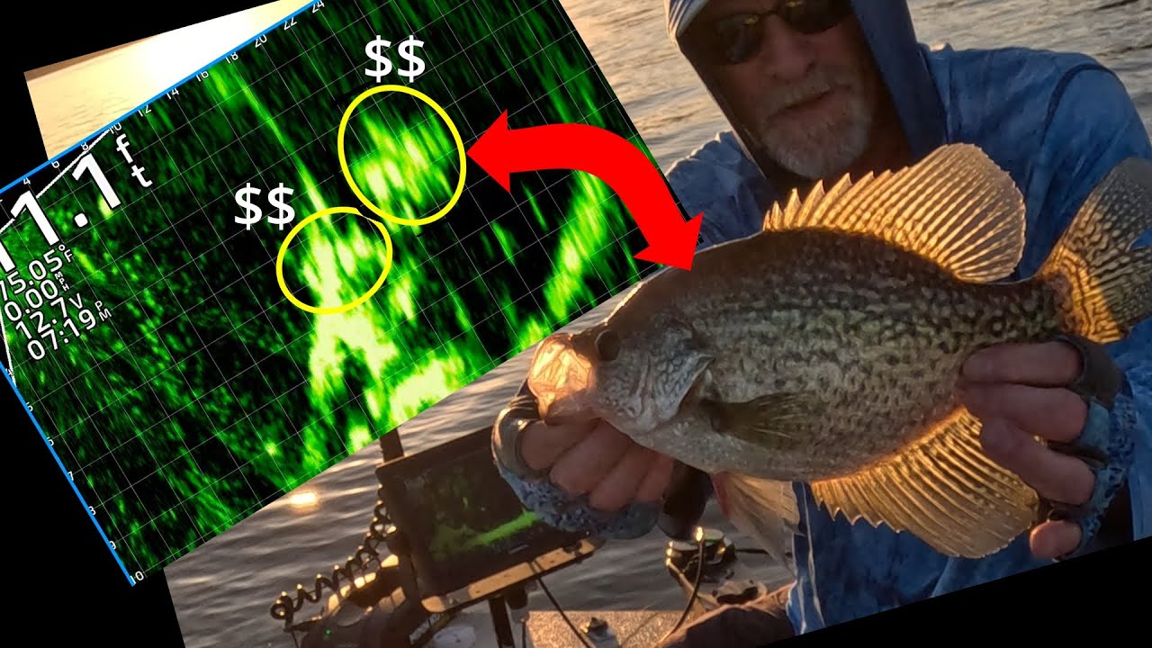 SUMMER: LiveScope + Brush = CRAPPIE!!
