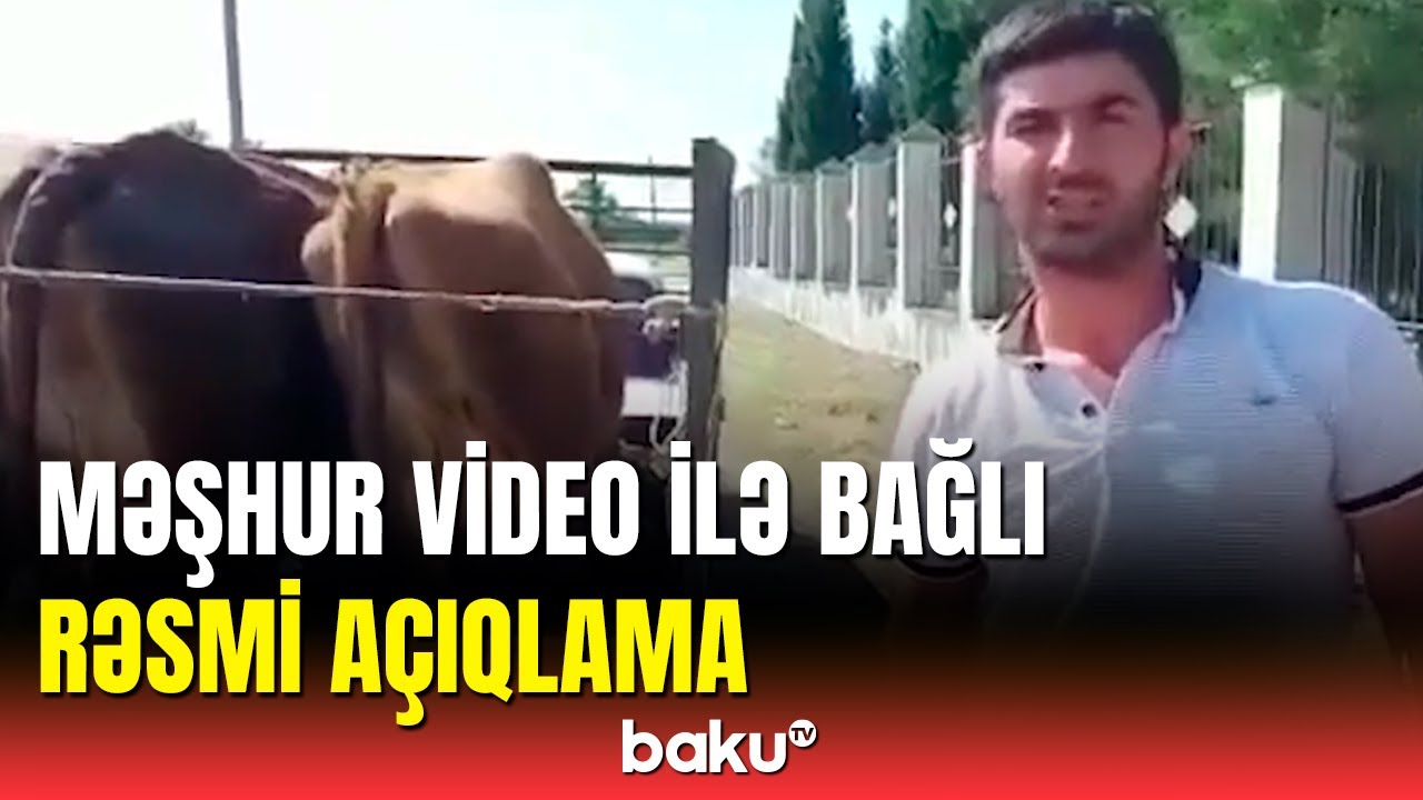Məşğulluq Agentliyinin sədrindən vacib açıqlama