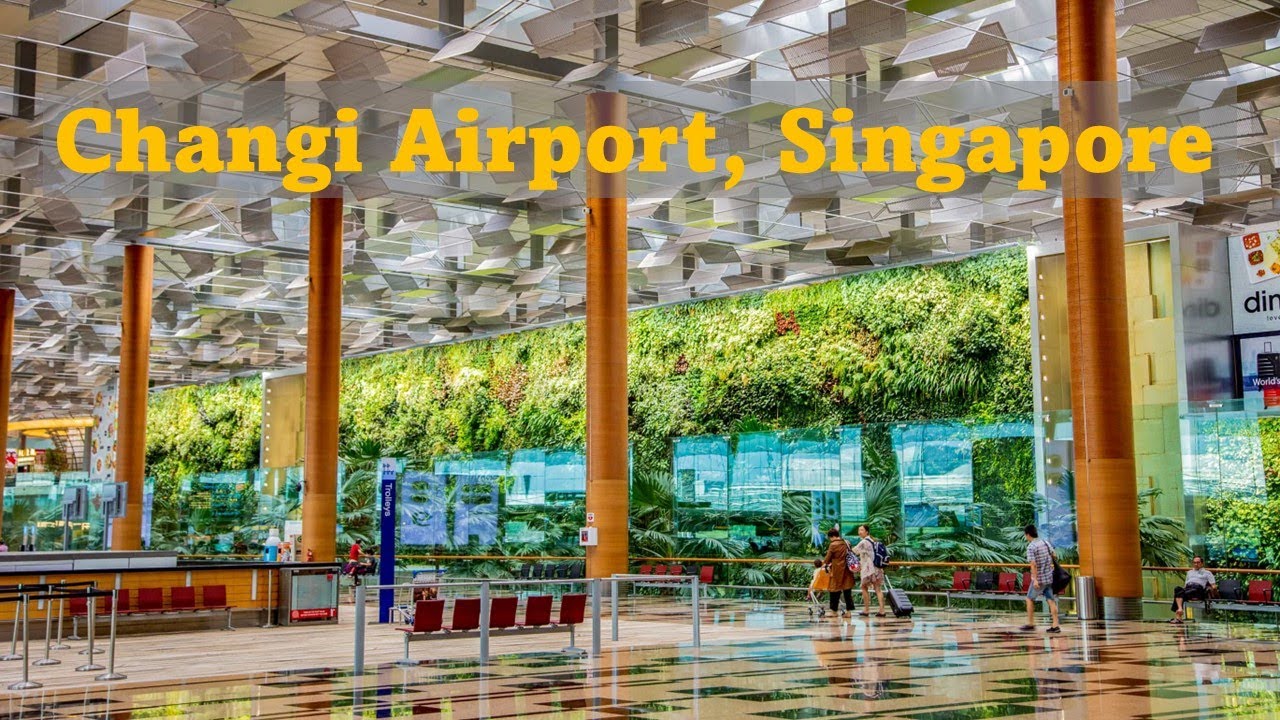Singapore Changi Airport | Butterfly Garden, Cactus Garden & Things to do