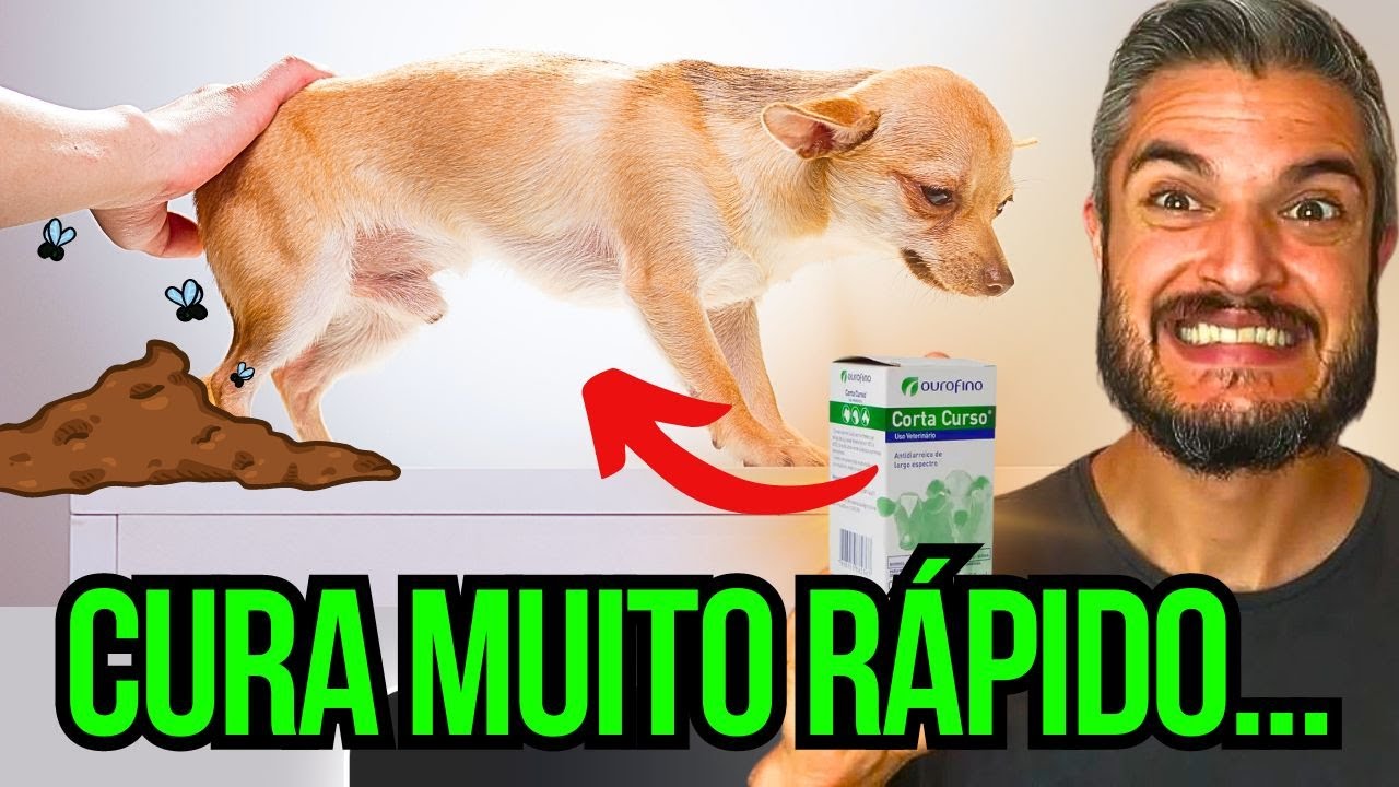 CORTAR DIARREIA E FEZES PASTOSAS DO CACHORRO E FILHOTE EM CASA REMÉDIO BARATO GIARDIA E PARVOVIROSE