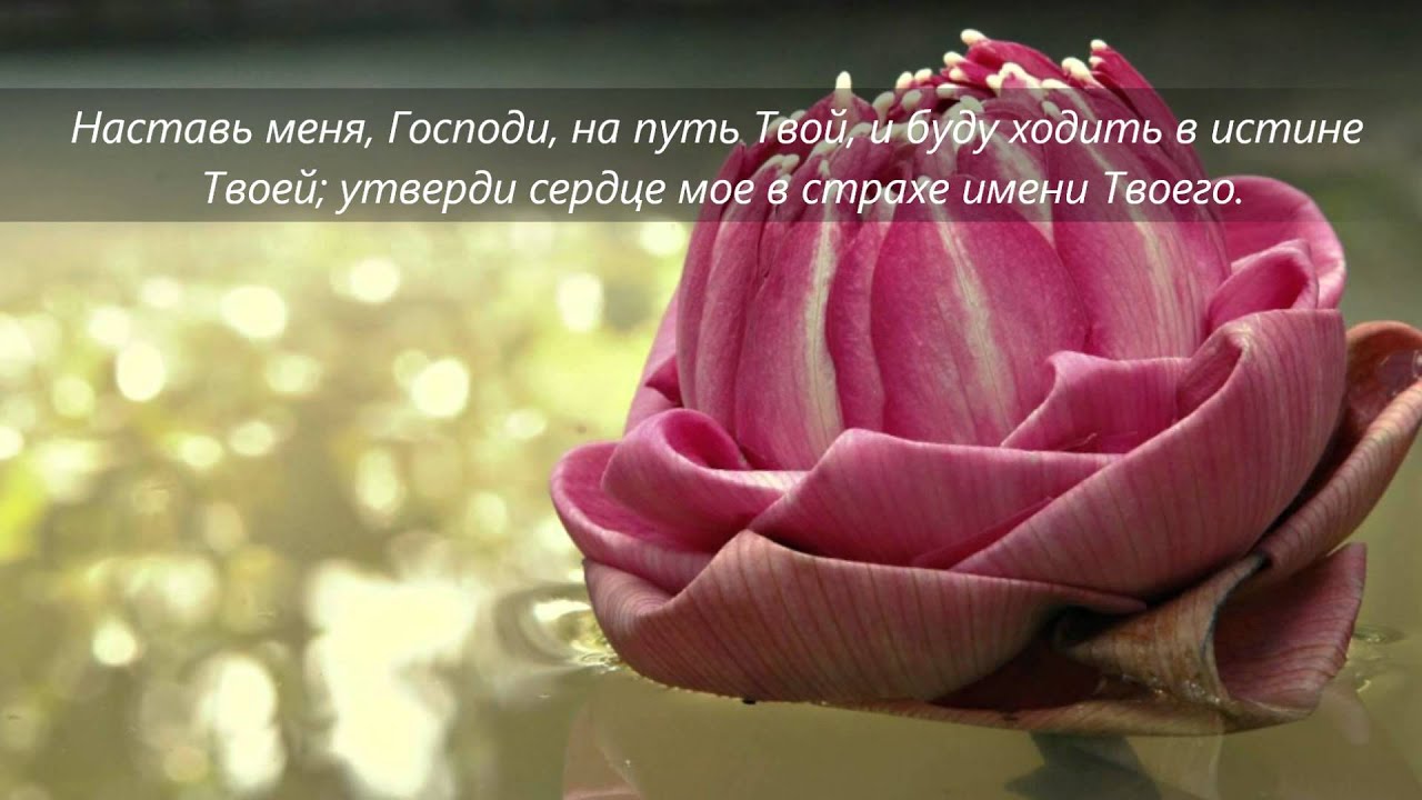 Псалом 85, МОЛИТВА_В день скорби моей взываю к Тебе!