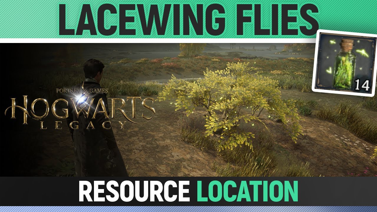 Hogwarts Legacy - Lacewing Flies Location - How to get