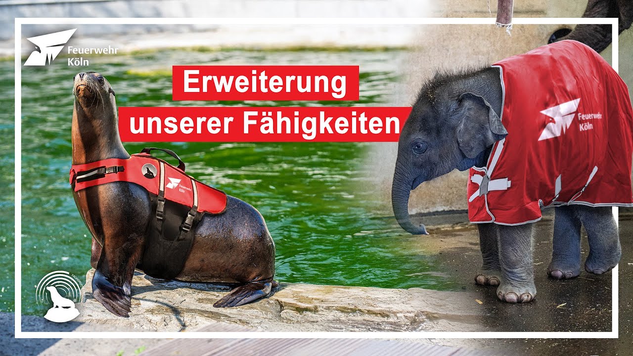 Erweiterung der Einsatzkonzepte der Feuerwehr K&ouml;ln