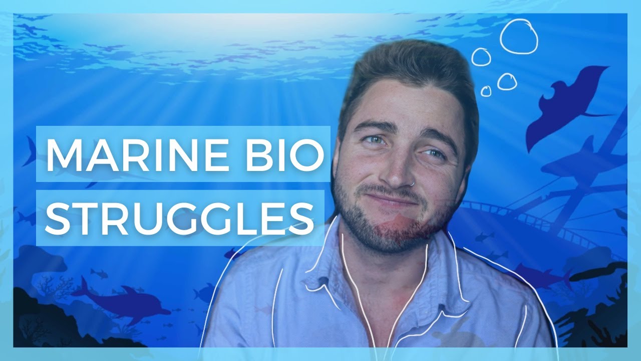 8 Things you should consider before wanting to become a marine biologist // Life in Academia
