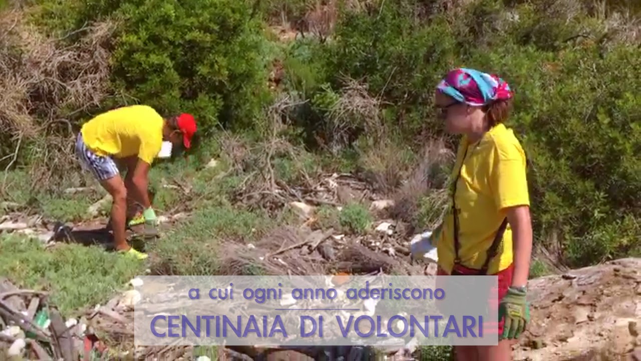 Vele Spiegate. Diario di bordo