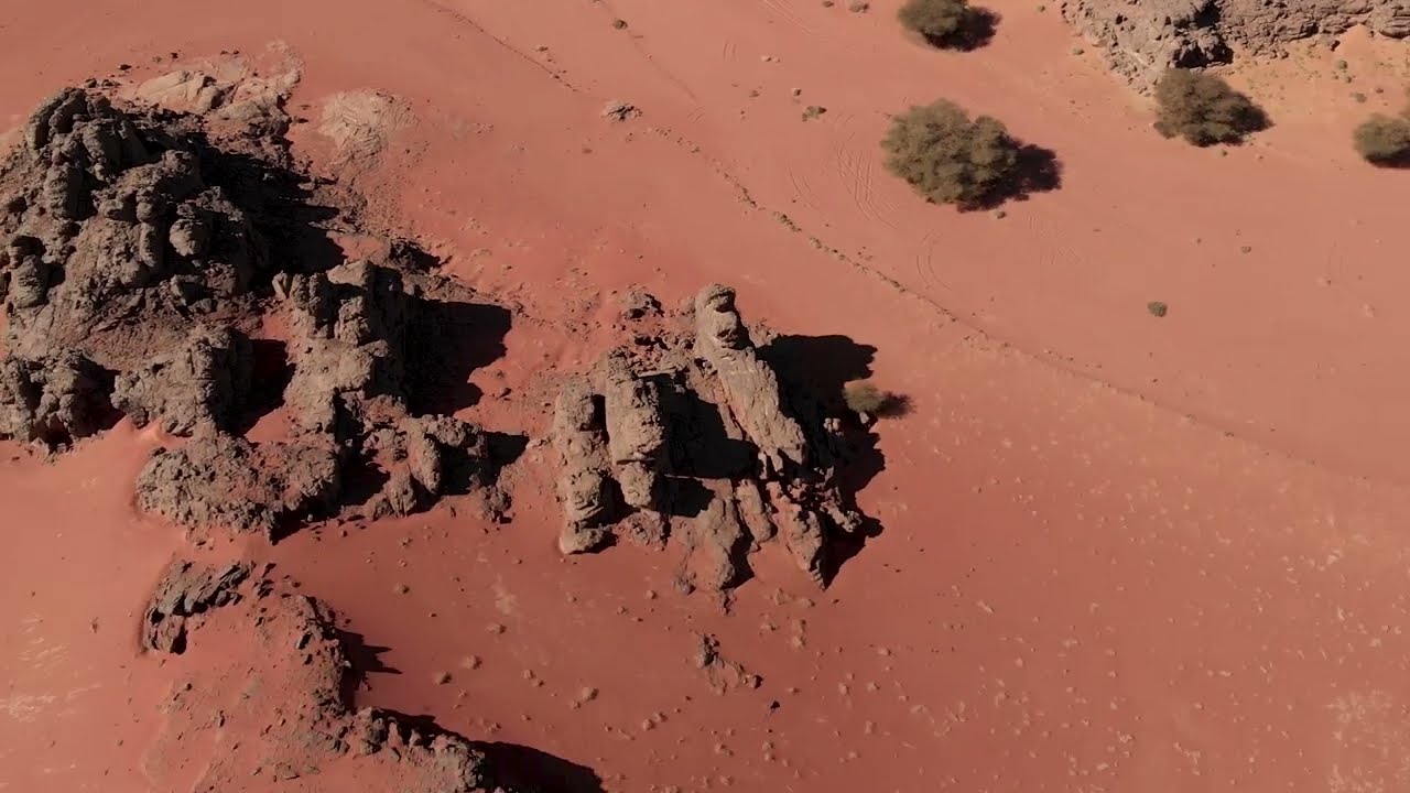 HOG algeria - Trailer
