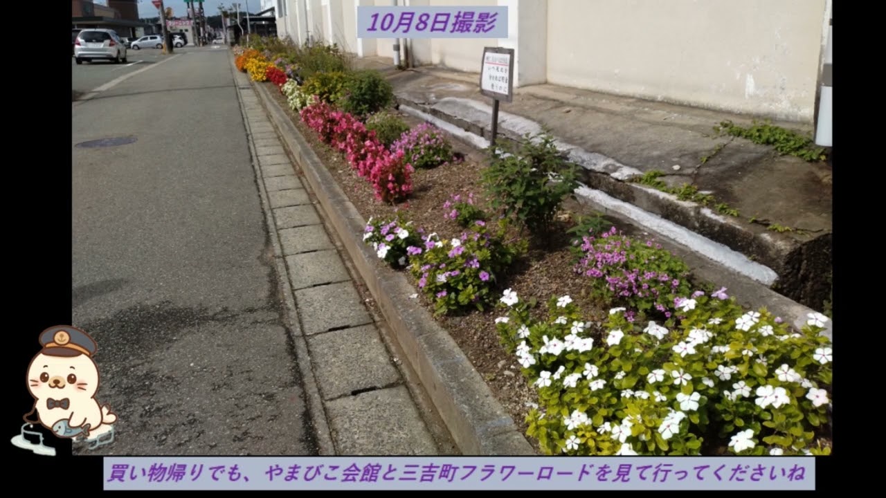 三吉町フラワーロード2025 パート２（秋田市広面）