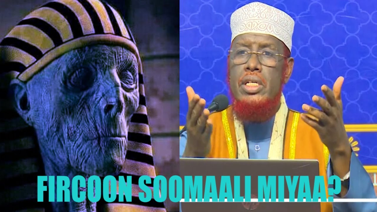 Fircoon Soomaali miyaa,maxey tahay danta laga leeyahay? Sh.Umal