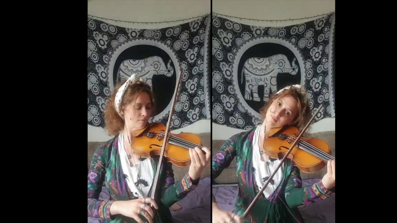 GANKINO ORO (two violins) - Shelly G
