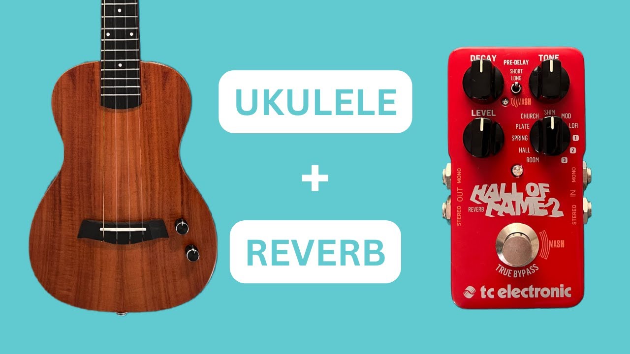 Snail SEU-1T Ukulele + Hall of Fame 2 Reverb Pedal