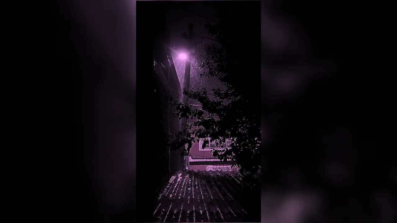 PURPLE RAIN - LSV - LOFFI TYPE 
