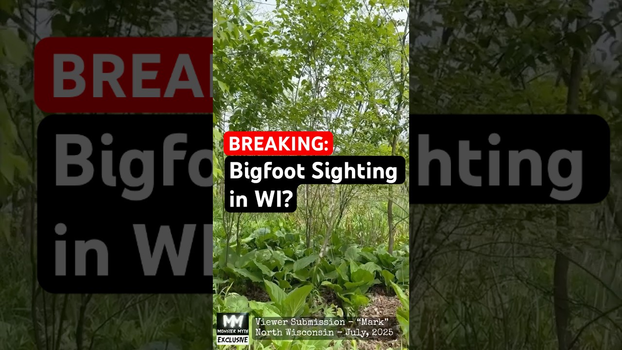 🤯 Bigfoot Encounter: 