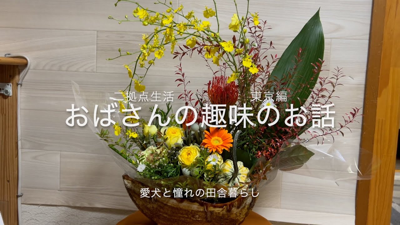 #23『おばさんの趣味の紹介です』二拠点生活の東京編となります