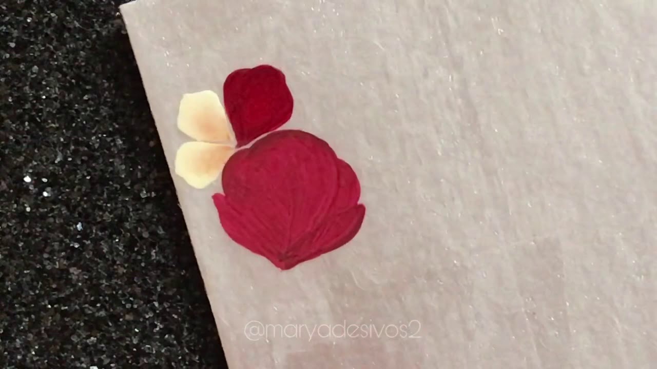 CARGA DUPLA rosinha PASSO A PASSO