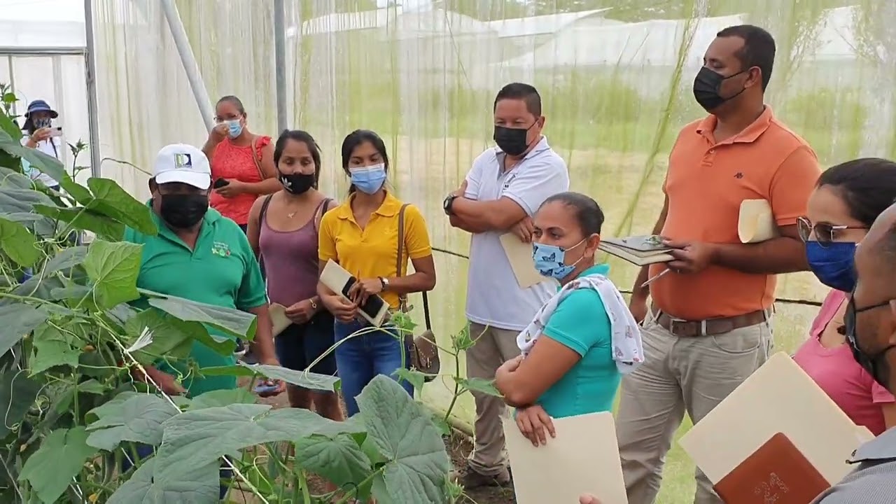 Tecnologías innovadoras aplicadas a la Horticultura
