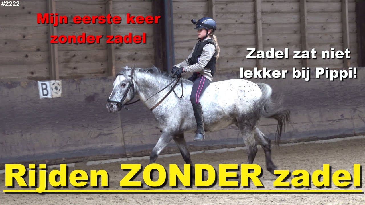 PAARD RIJDEN zonder ZADEL. Zadel zat niet LEKKER, daarom VEEL BOKKEN  #2222