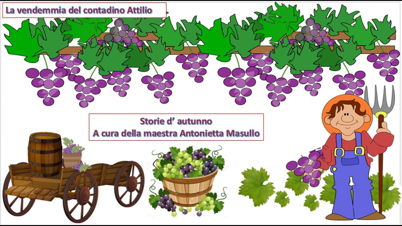 La vendemmia del contadino Attilio