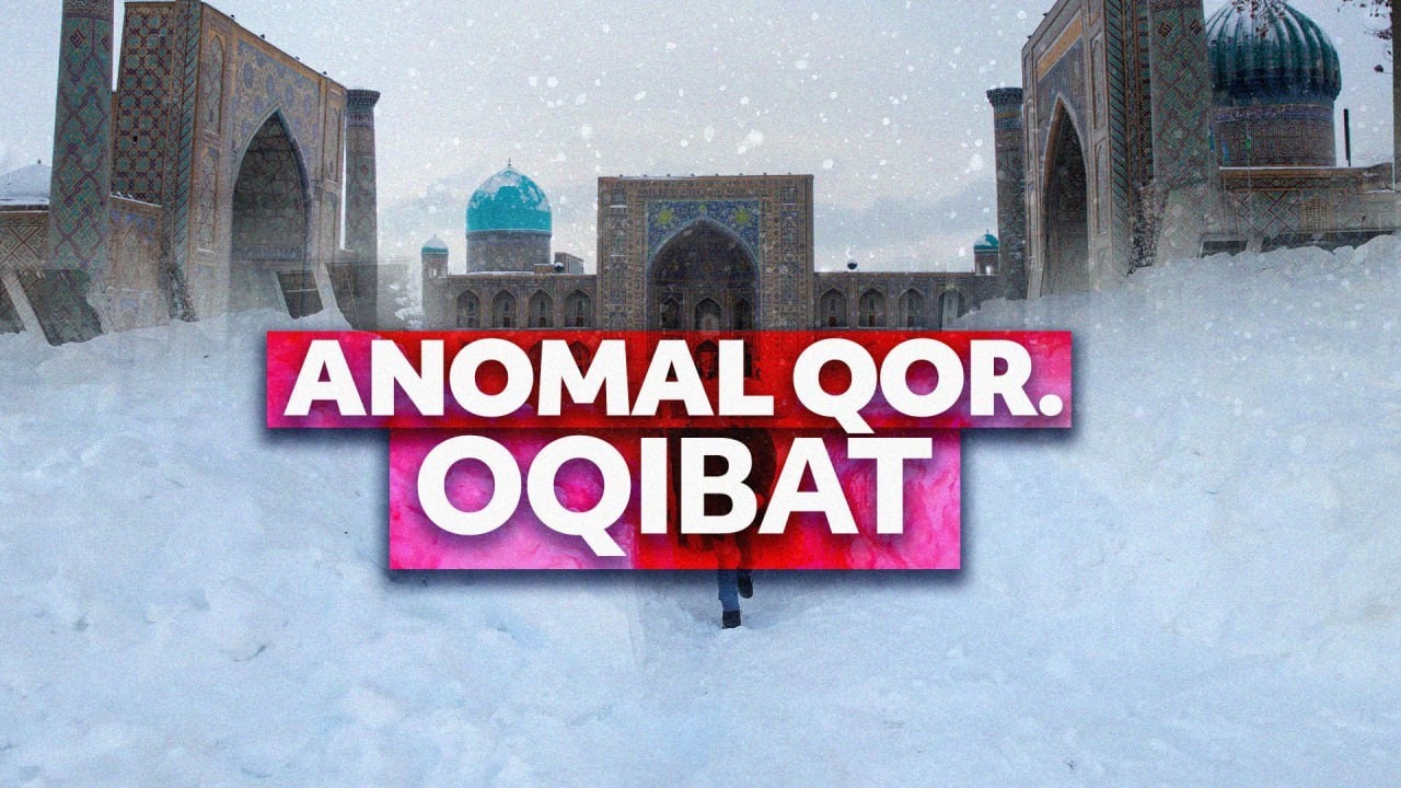 Bo‘ronli qish: Ekspertlar seryog‘in qish ortidan o‘ta issiq yoz kelishidan ogohlantirmoqda