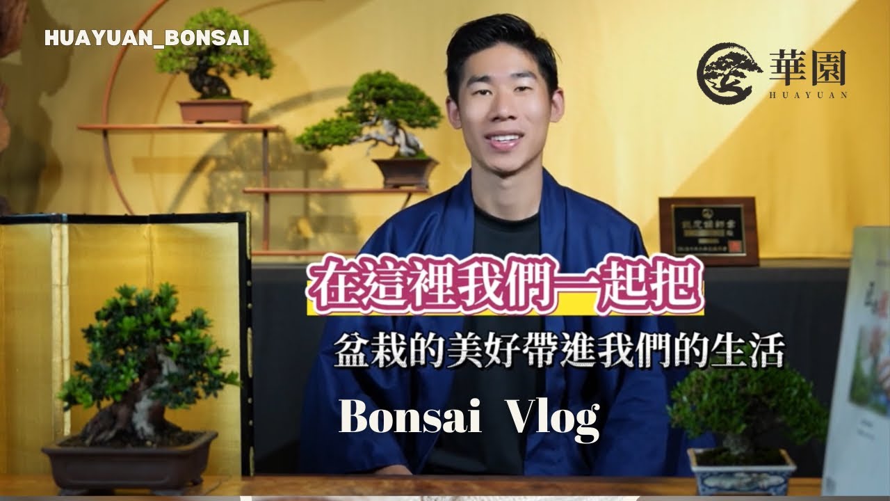 新手必看 90%的人挑錯盆栽！ 職人帶你這樣選才不後悔