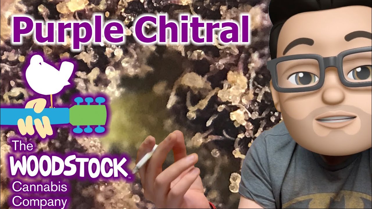 Purple Chitral by The Woodstock Cannabis Company | OCS Reviews