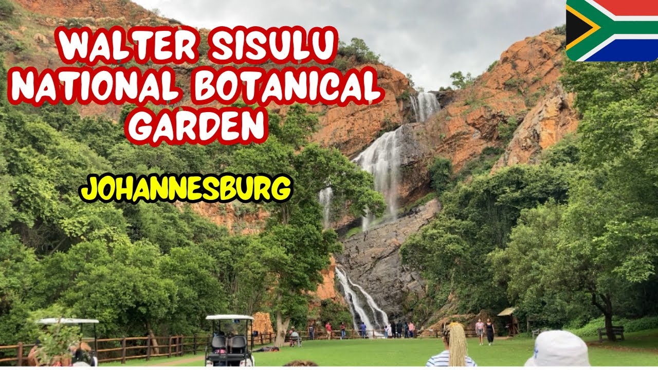 Discover the Natural Beauty of Walter Sisulu National Botanical Garden | Joburg | South Africa