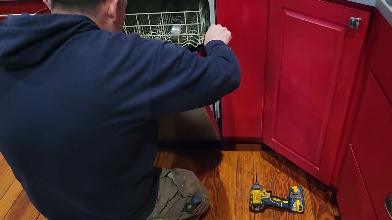 20230302 Elite Dishwasher Newt
