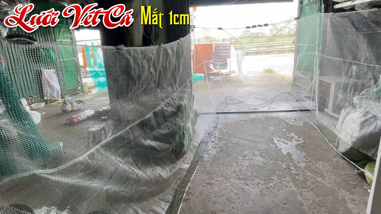Lưới Vét Cá - Lưới Quét Cá - Lưới Kéo Cá Mắt Thưa 1cm - Cước Thái 3 Sợi Siêu Bền Giá Rẻ 0987782098