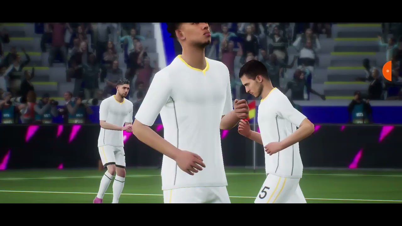 Pes videosuda gelicek