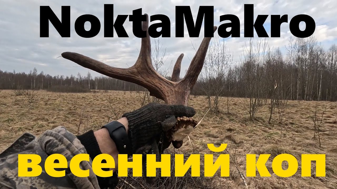Nokta Legend.Коп с металлоискателем 2025.#2