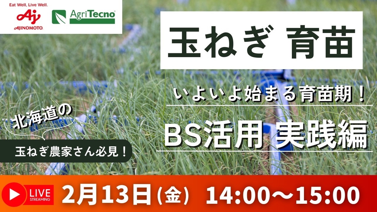 2/13(金)昼14:00～15:00 北海道玉ねぎ　育苗期のBS施用徹底解説　北海道の方必見！！