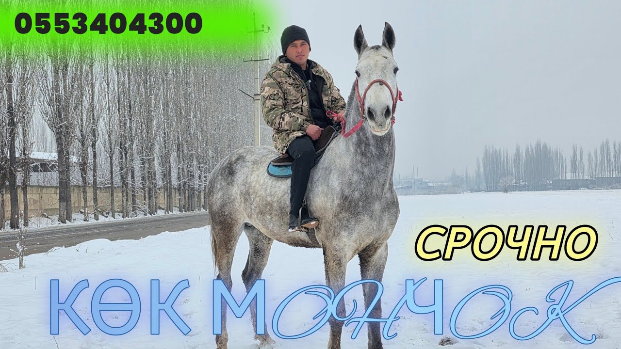 СРОЧНО КӨК МОНЧОК АРЗАН ЧЫКТЫ 💥📲0553404300
