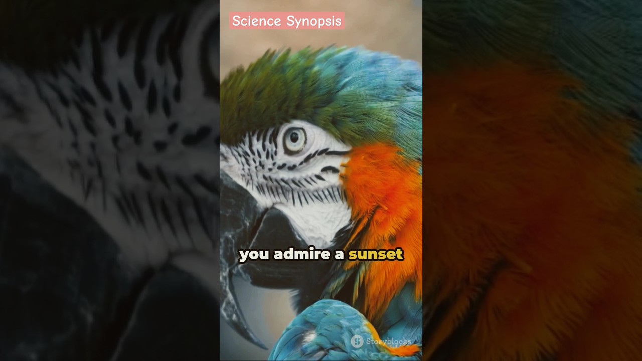 The Spectrum of Perception: How We See Color