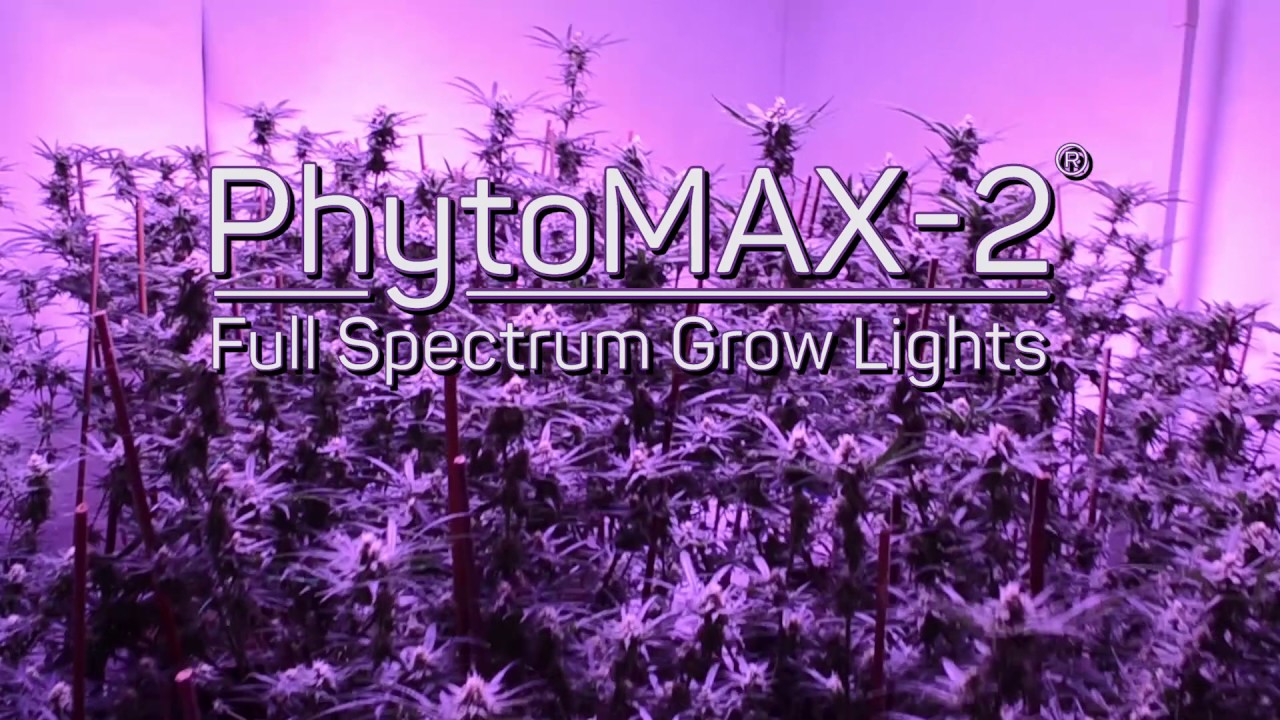 Announcing PhytoMAX-2 - The Best Just Got Better!