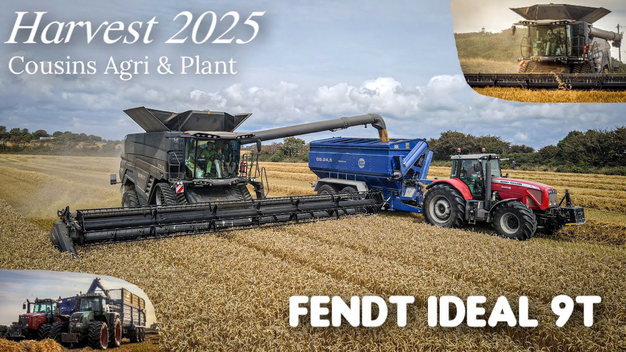 Harvest 2025 - Cousins Agri & Plant - Fendt Ideal 9T & Massey Ferguson 8480