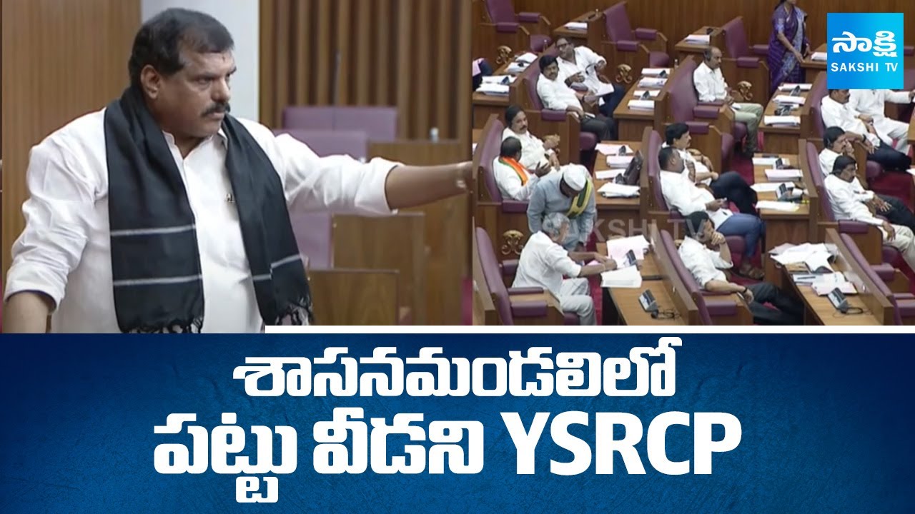 YSRCP MLCs Protest In Legislative Council, YSRCP MLCs Protest in Council Against Privatization